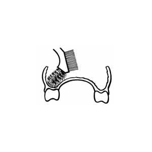 Curaprox Spazz Dentiera Bdc152